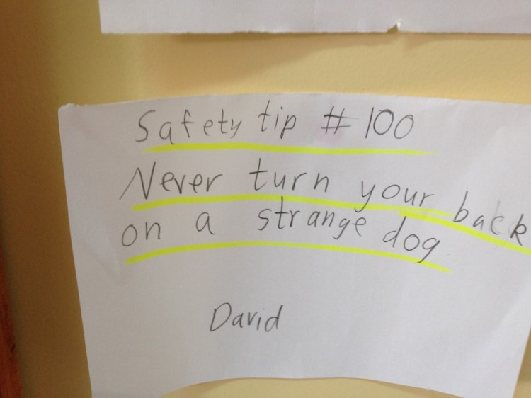 David Gets My Vote For Smartest Student!