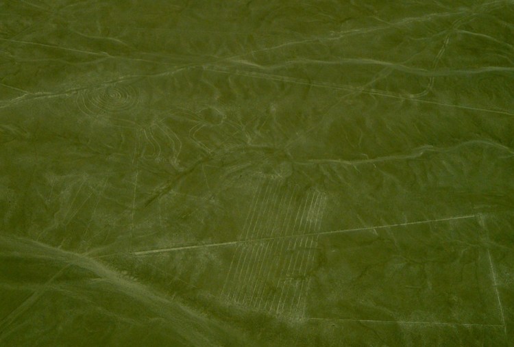 Monkey and Landing Strip