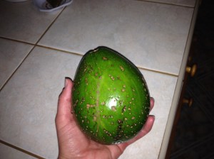 Huge Avocado